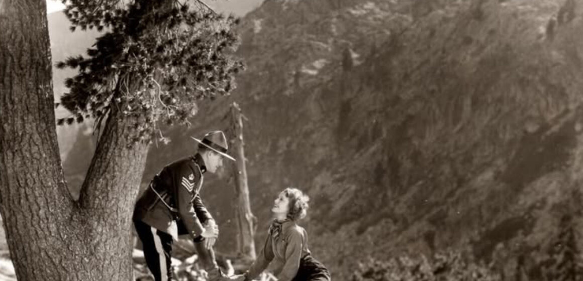 jn rose marie tree cropped for FB