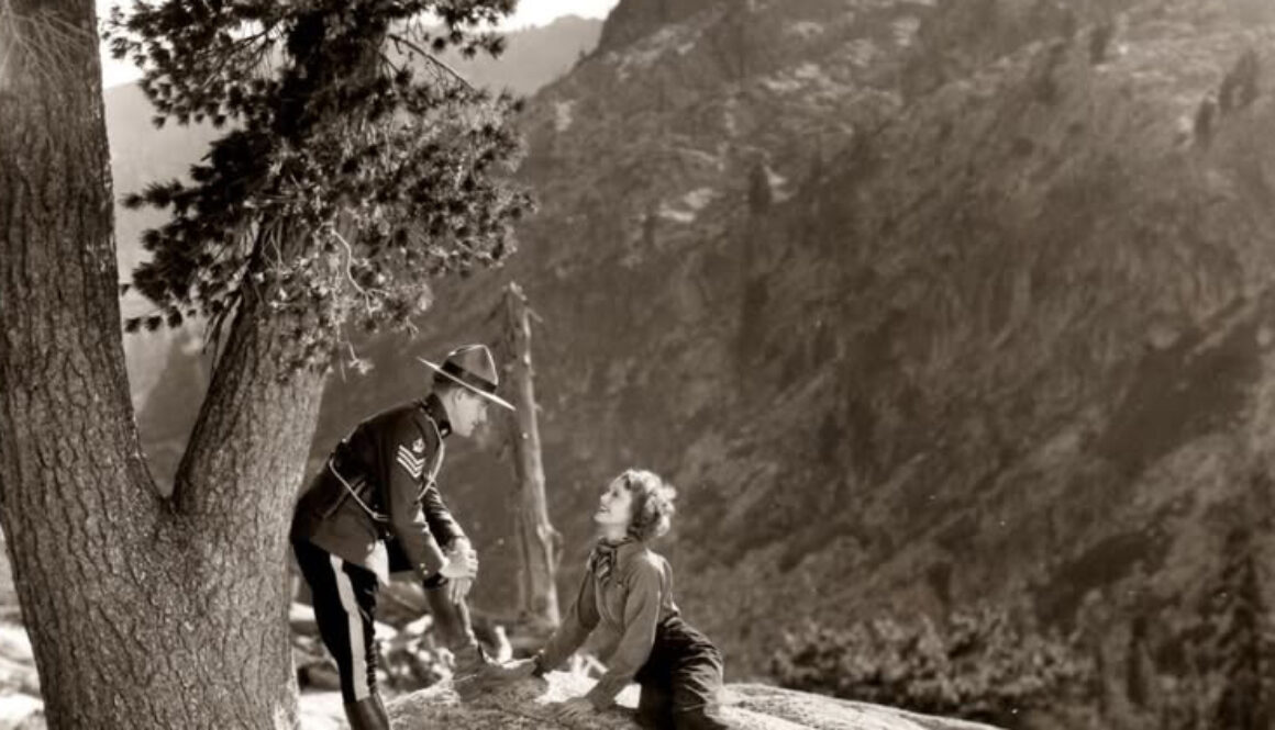 jn rose marie tree cropped for FB